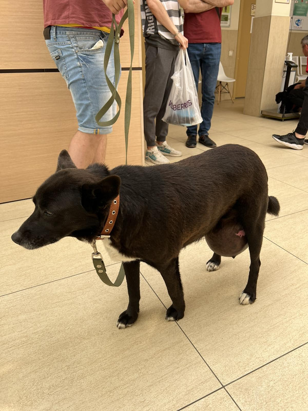 C405DEE6-EEAE-43E7-AD52-0CA7A081D079