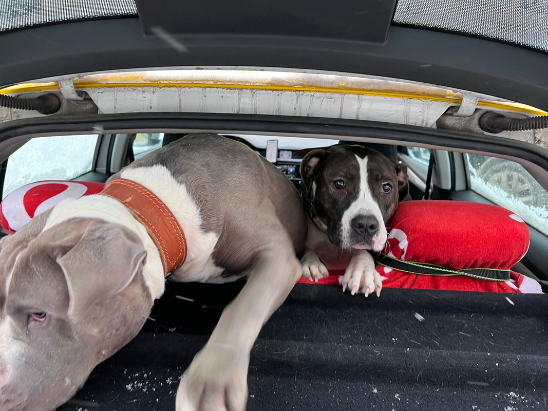 B57D074E-D97E-4975-A9D8-0DCCEE1E0633