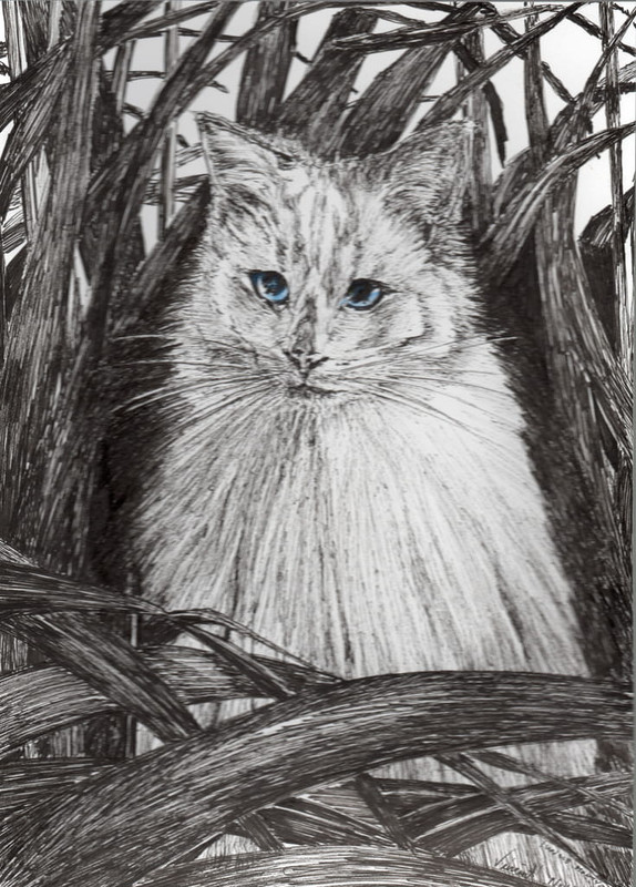 Vincent-Alexander-Booth-Jungle-Monty-2015-ink-on-paper-Meister-Drucke-391100