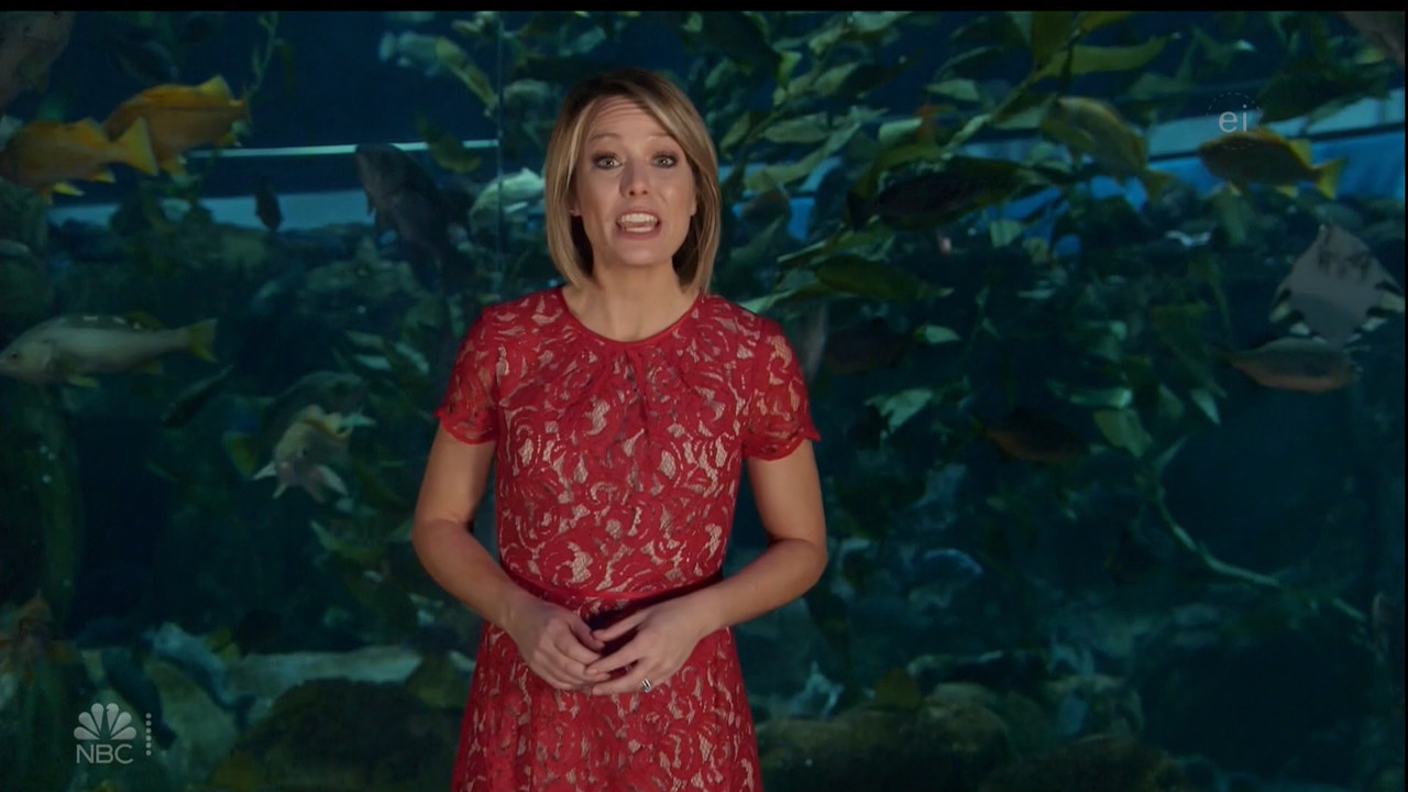 11.07 - 15.00.00 - Earth Odyssey With Dylan Dreyer. The world's smart....ts_snapshot_00.37.44.201