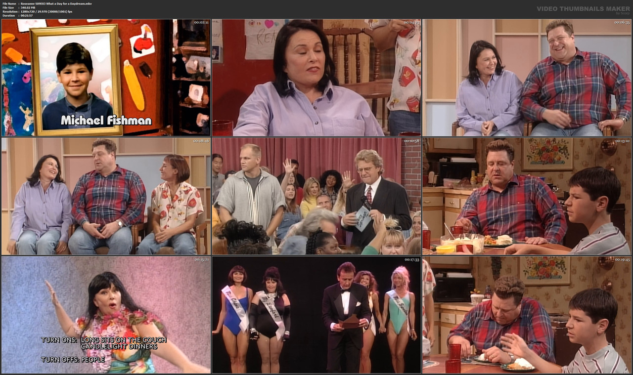 Roseanne S09E03 What a Day for a Daydream.mkv