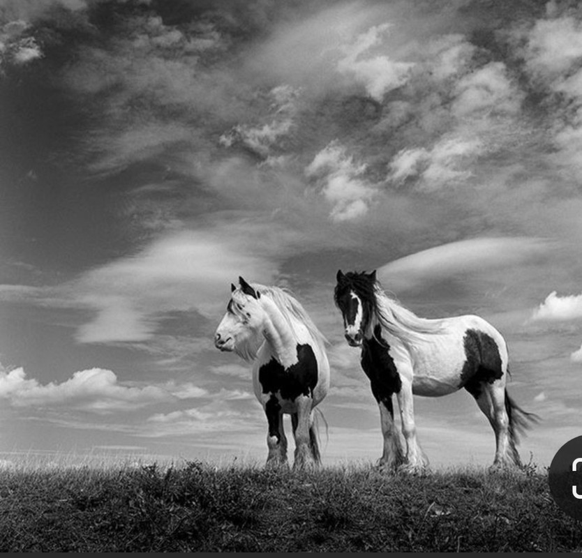 Screenshot_20231025_155624_Pinterest