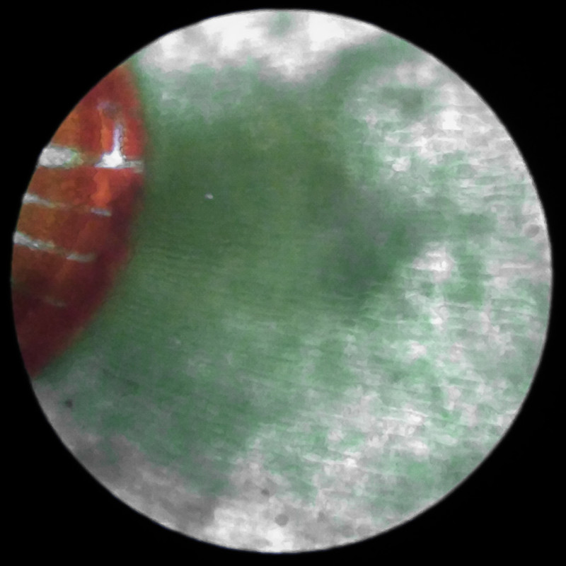 IMG 20250617 121453 HDR