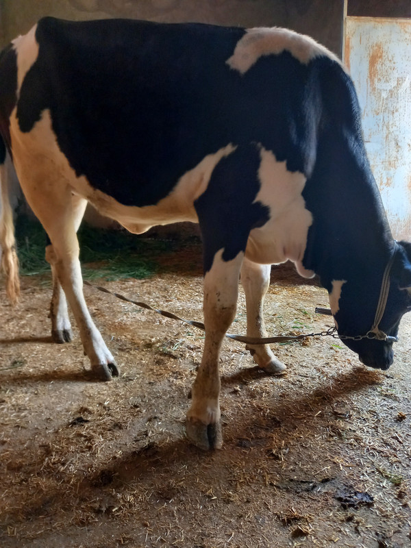 ٢٠٢١٠٣٠٩_١٥٣٠٥٠