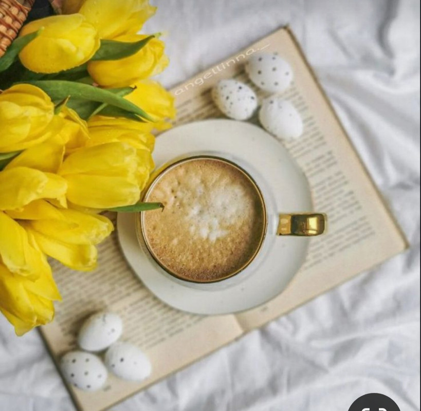 Screenshot_20240428_170856_Pinterest