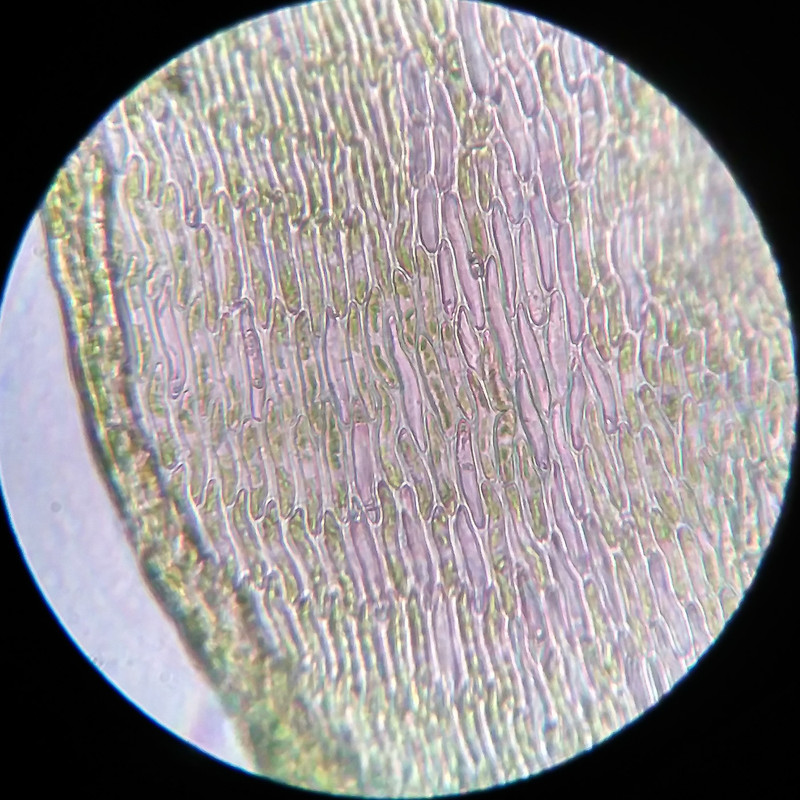 IMG 20250616 211053 HDR