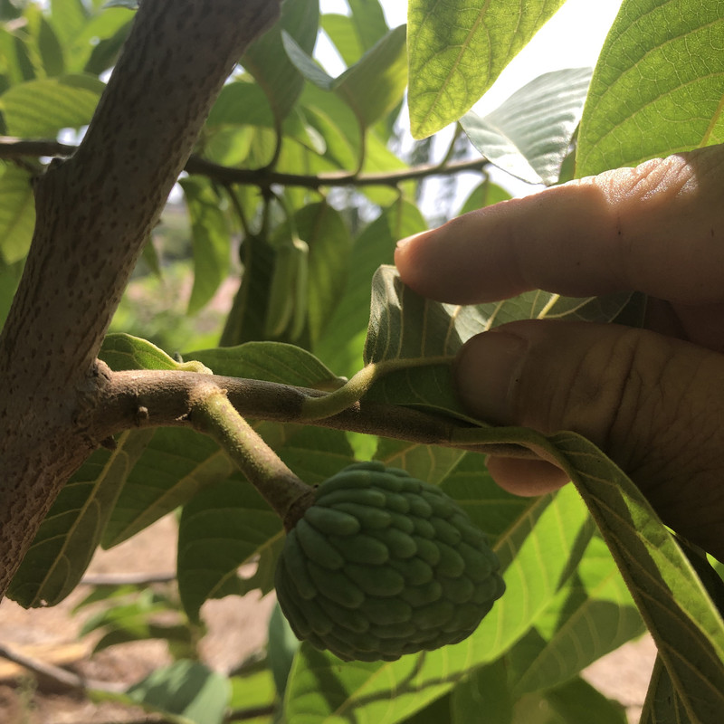 9E9836CE-9064-49E9-8BE8-189208CBD476