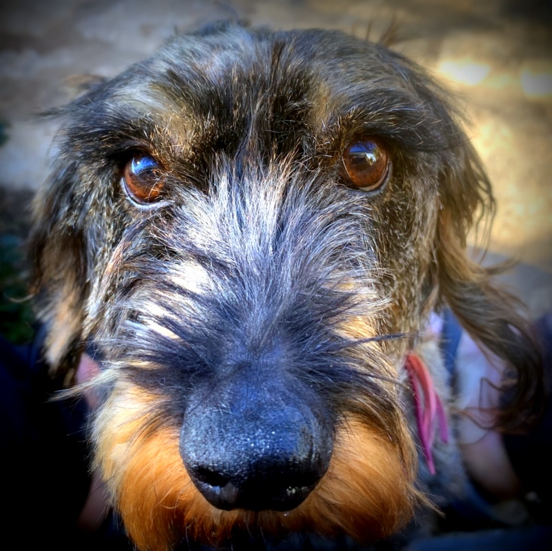 [Image: IMG-0322.jpg]