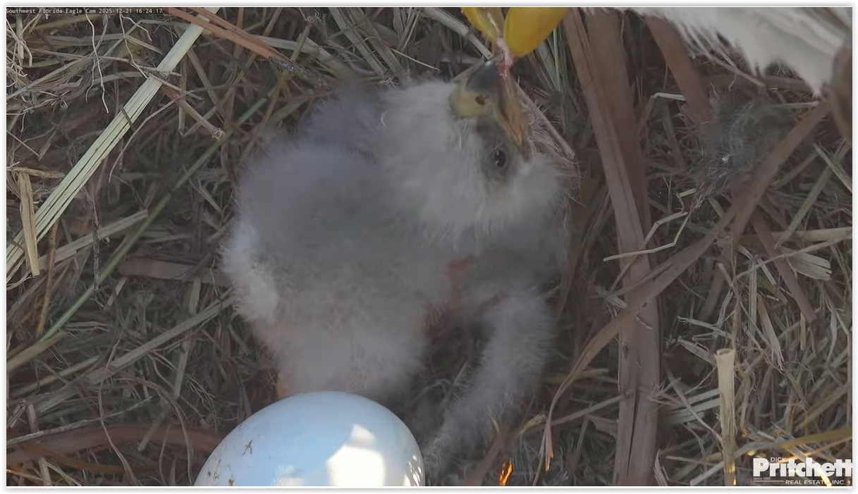 Screen Shot 12 22 25 at 09 06 AM 002