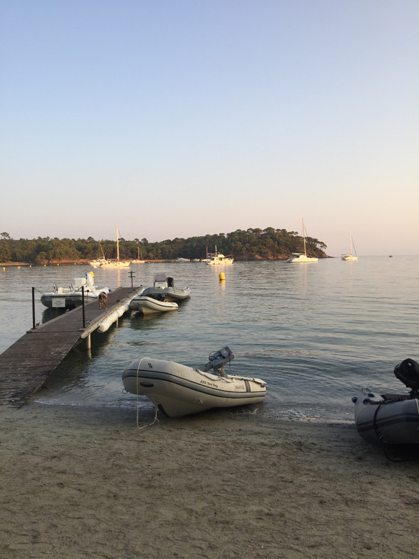 A7CFF022-FE4C-44D0-BDE0-B9FC16311AC3