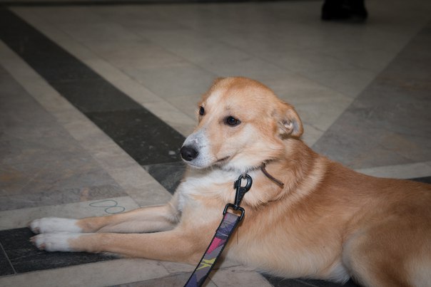 EB3DFEA8-0F79-4773-AC75-EAF5133A8349