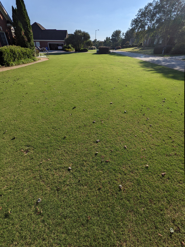 PXL_20210927_211131522