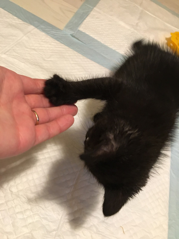 742C3F2B-C5D6-43C4-B9F9-CF42869F5CC4