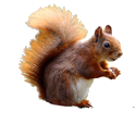 imageedit-1-4598026067