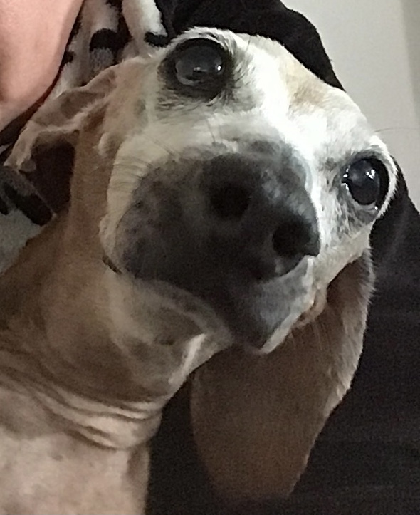 [Image: 0-B78-C1-B7-6-E05-44-A8-91-E6-1-A8-A3-CD65162.jpg]