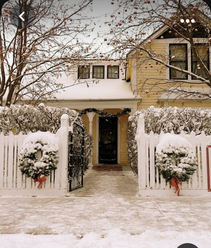 Screenshot_20231017_200650_Pinterest