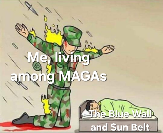 2tzo2k.jpg