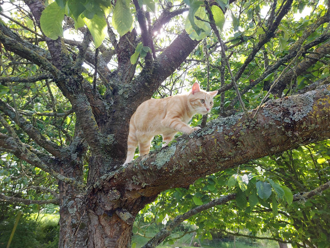 received_212515127876116