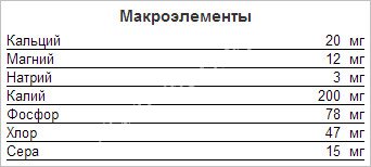 watermarked-топи3