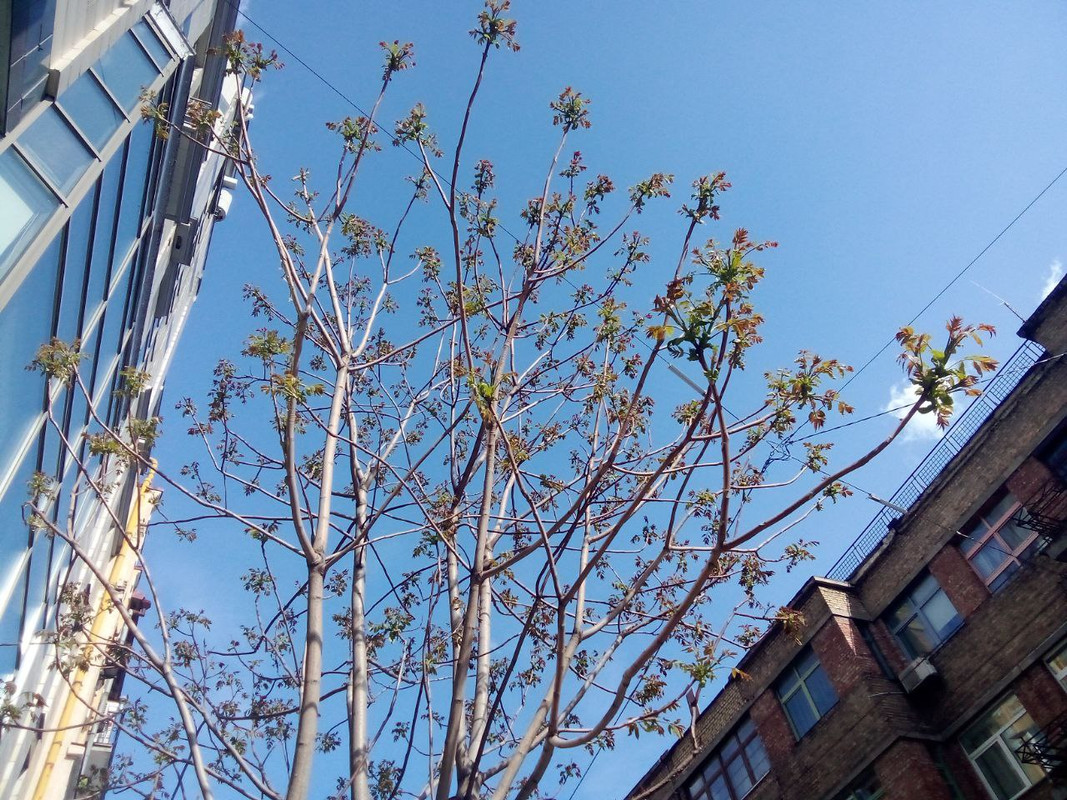 photo_2025-05-01 7.35.31 пп