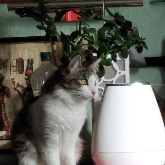 FB_IMG_1615494564940