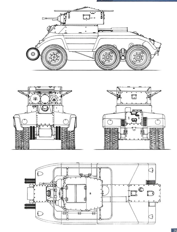 Безымянный австр