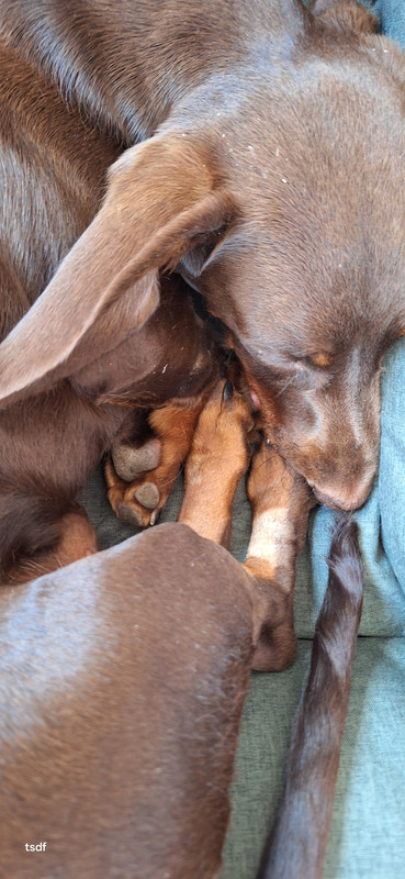 [Image: 20250807-164844.jpg]