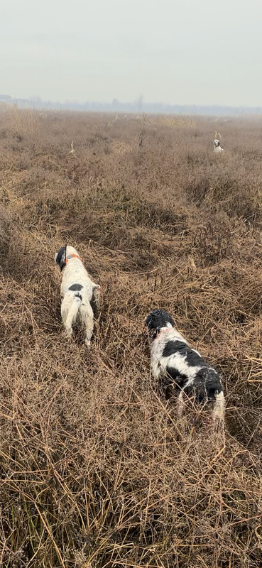 96F4B507-8215-4A7F-A41D-16CC4BBC56E6