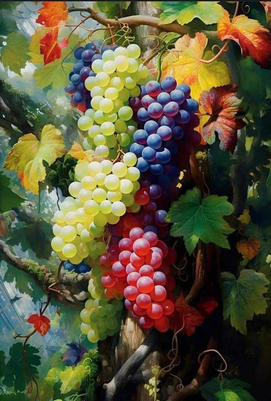 371458409_873358860663706_2094723013307080135_n