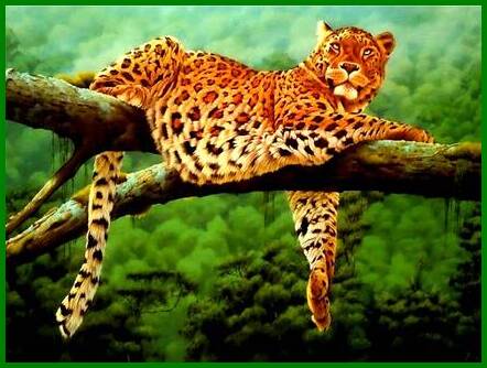 An den Beitrag angehängtes Bild: https://i.postimg.cc/d347NpPY/donderdag.jpg