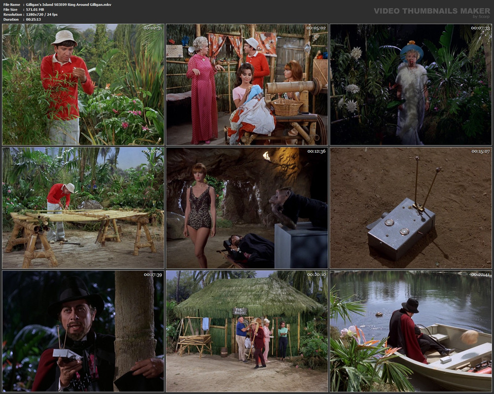 Gilligan's Island S03E09 Ring Around Gilligan.mkv