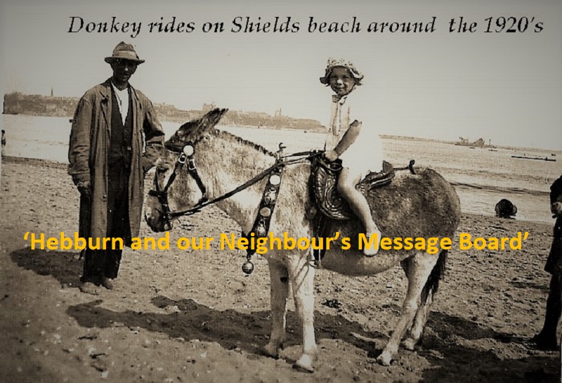 Donkey-rides