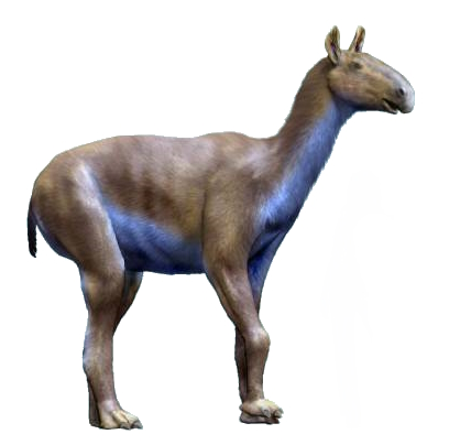 Macrauchenia_patachonica_NT