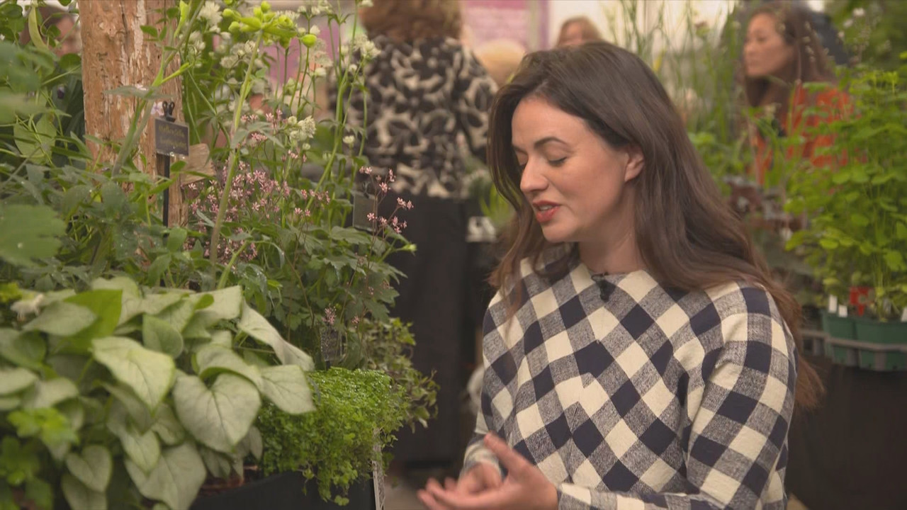 RHS Chelsea Flower Show 2025_20250523_14001500.ts_snapshot_00.07.23.263