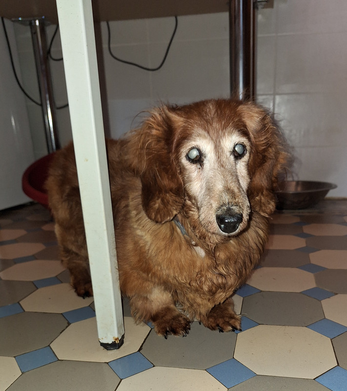 [Image: 20240426-193222.jpg]