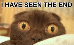 F87710CC-4421-4C5C-9C60-1690F969BCA9