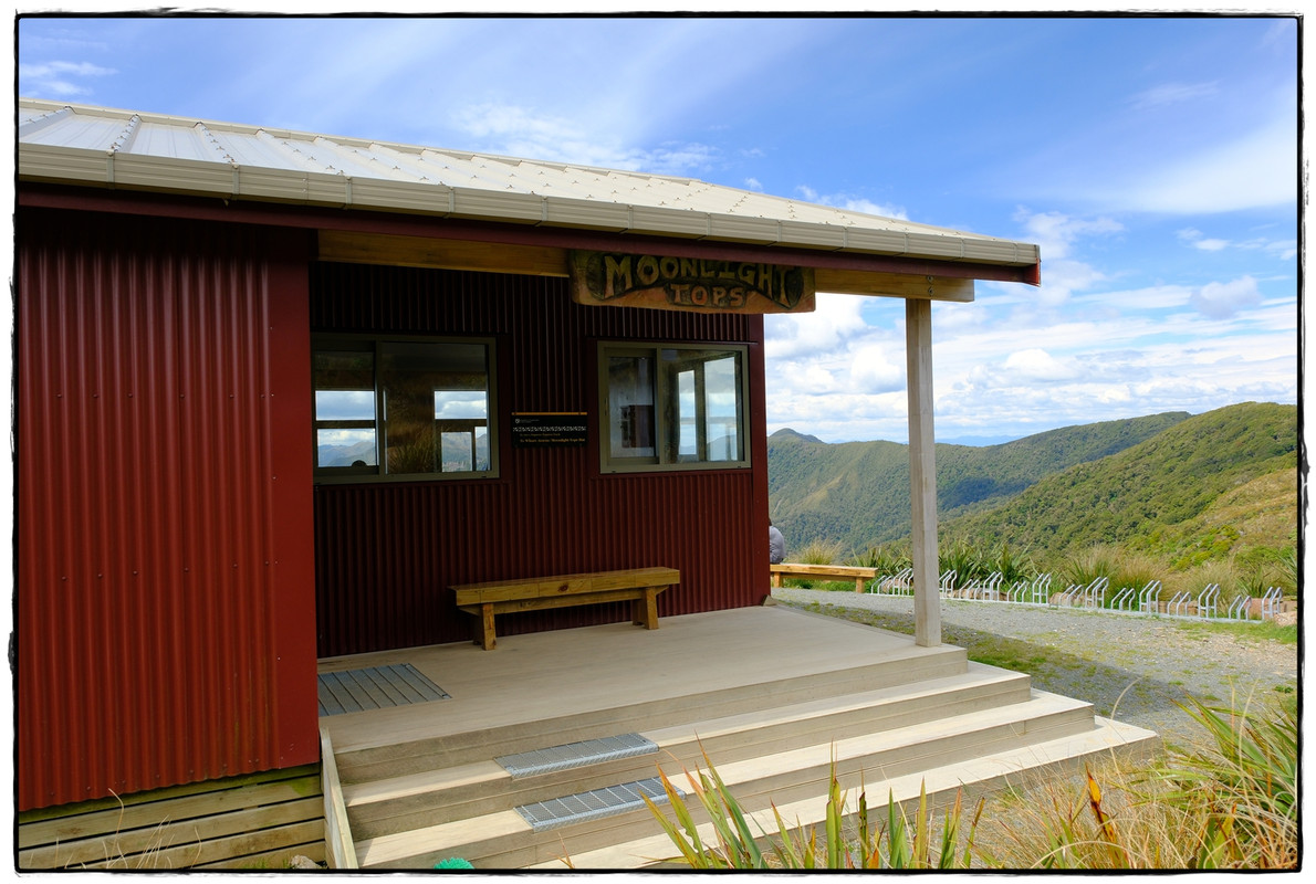Paparoa NP: Paparoa Track (diciembre 2024) - Escapadas y rutas por la Nueva Zelanda menos conocida (20)