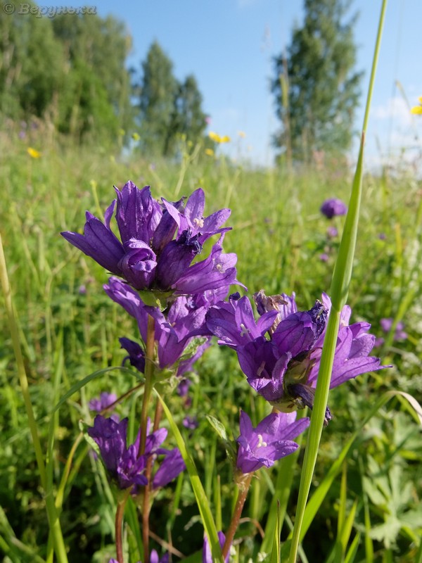 DSCF9002