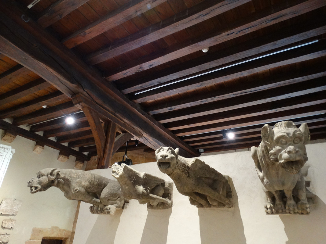 05.05 - DSC08517 (Czesio1)