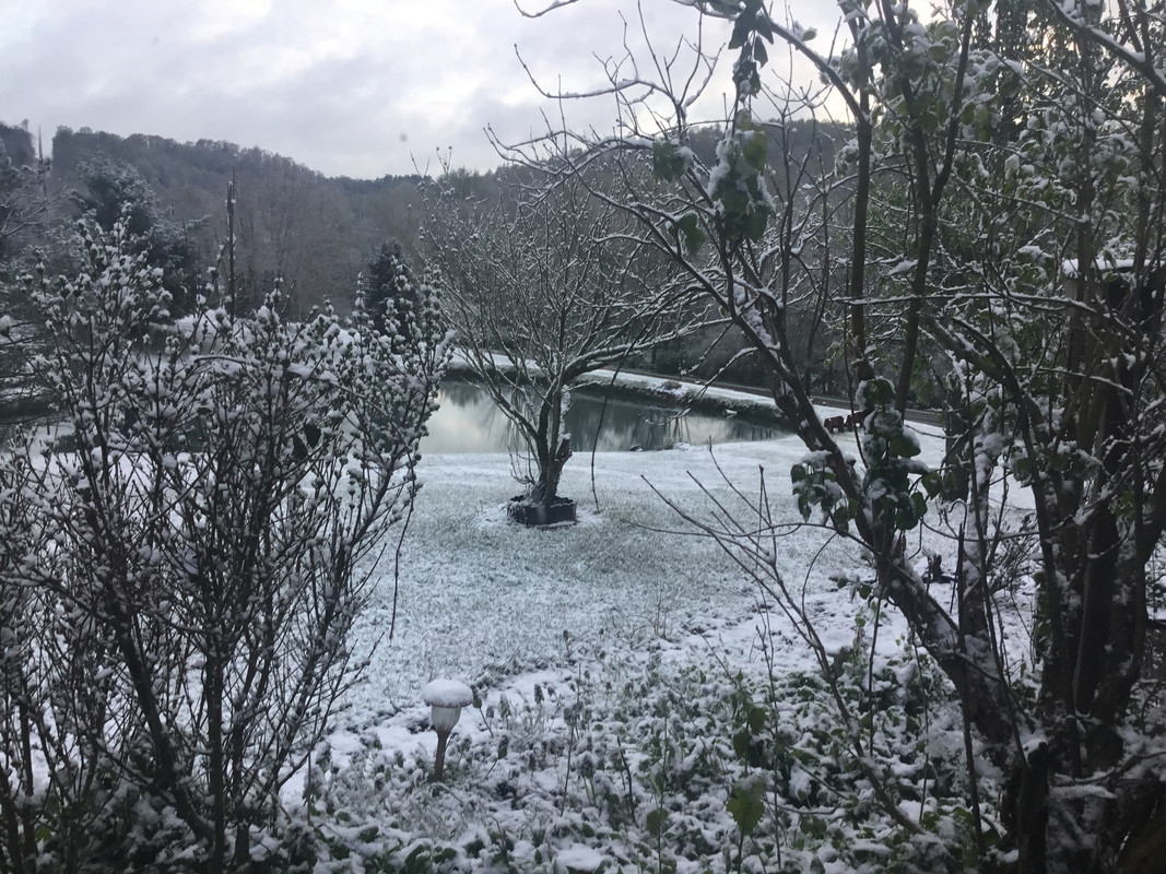 66C6F9EF-88B4-4C31-8BD9-FC90FB7E83EF