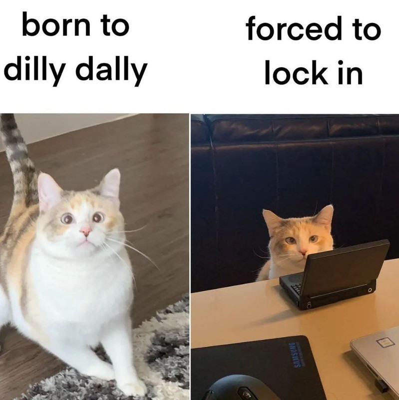 2024-11-30-13-27-54-Know-Your-Meme-get-ready-to-lock-in-this-week-Instagram.jpg