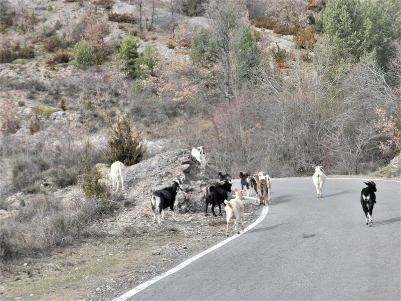 ASTÚN Y PUERTOS DEL 3 AL 7-3-2012-HUESCA/FRANCIA - Paseando por España-1991/2015-Parte-1 (41)