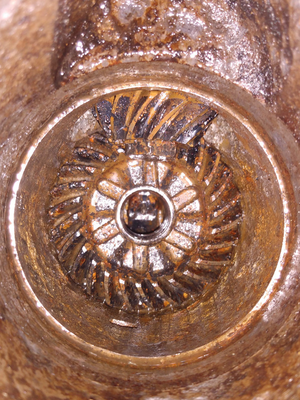 IMG_20200402_183234881 (2)