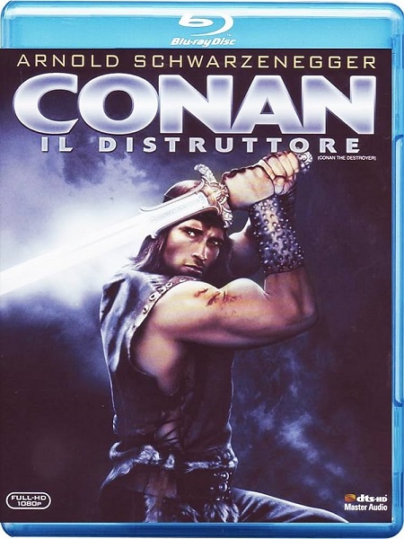 Conan il distruttore (1984) mkv FullHD 1080p HEVC AC3 ITA ENG Sub