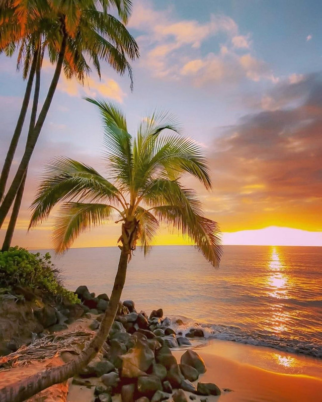 1B8D6C18-0C0C-4260-8747-8A06DD899241