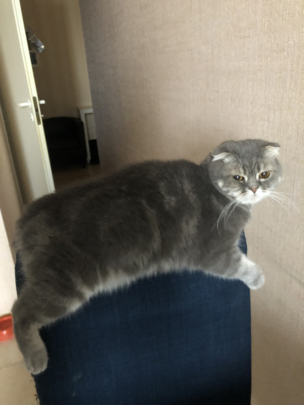 102A798E-3974-479E-82EA-1A2894A3DC78