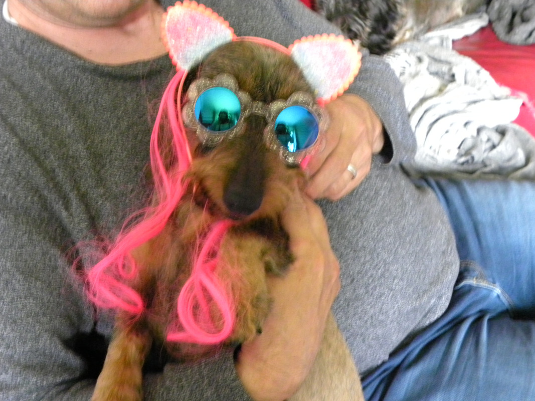 [Image: DSCN9758.jpg]