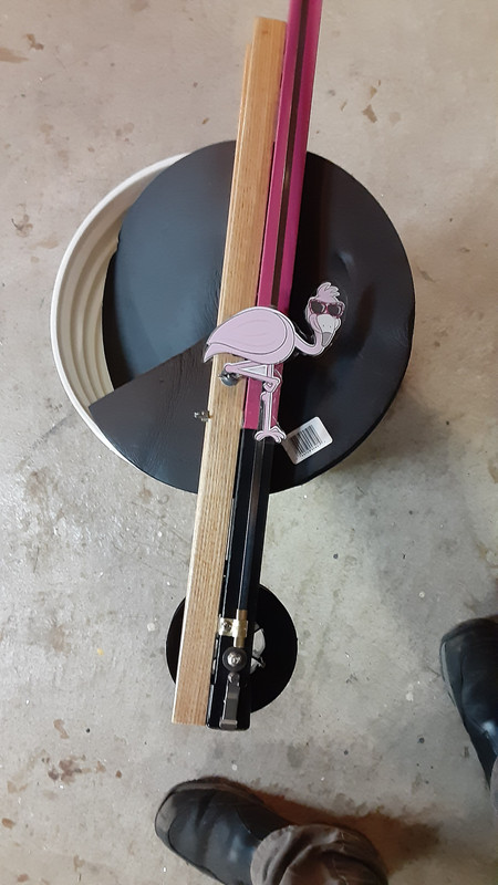 16771855535392869280475857807181