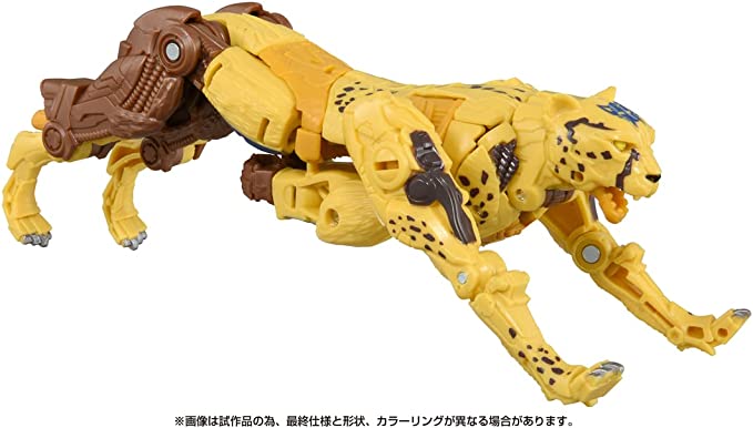 BD-02-Deluxe-Class-Cheetah-4