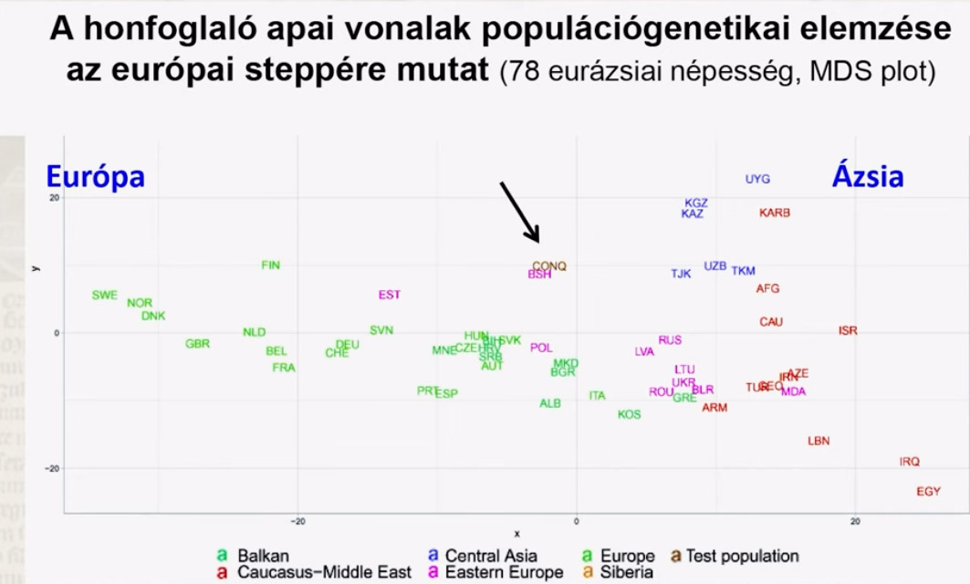 honfoglal-k-popgenetika-apai.jpg